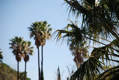 DSC_0024 (Large).JPG